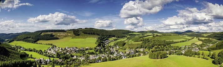 Panorama Hotel Winterberg